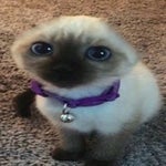 OH NO GOOFY AW GRANDMA