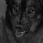 o lobo vai comer seu cu