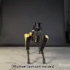 robot dog clam sounds