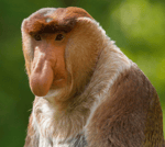 you know what i want as a side for lunch