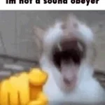 Cat Laughing Meme Sound Effect. [Rc2k_8skxtI]