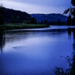 7 days to die - Sound