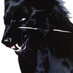 Monster by Kanye West Intro