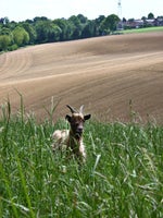 good story about good team mates