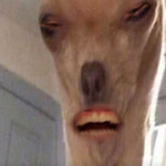 bruh bruh