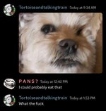 hydrogen bomb vs coughing baby