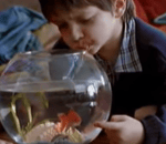 Tu pousses le bouchon un peu trop loin Maurice !