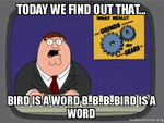 Bird is the word
