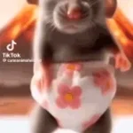 rat dance