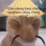 You messed with my Gang...