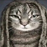 Montagem Conga Conga (Remix)