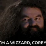 Jestem czarodziejem Harry Potter