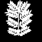 Light Skin Stare Extreme Bass Boosted Sound Effect