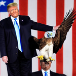 America plus