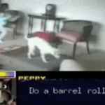 DO A BARREL ROLL!