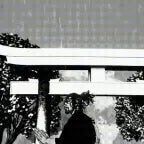 dobroe-utro-moia-devochka