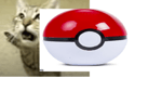Whos that pokemon