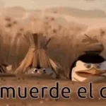 Así, muerde el cebo! - FBI