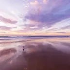 Tree On The Hill (Lunch Break Freestyle) (copy)