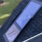 open the window and fly