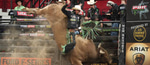 7 Million Dollar Bull Rider