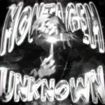 MONTAGEM UNKNOWN