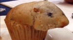 that muffin is looking awfully like a hamster