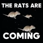 rats