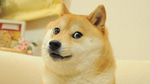 anime wow sound effect