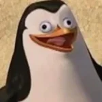 Recording 11/11/25 00:47:31