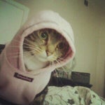 Freddy, You Terrible !#$*! i didnt make this lol