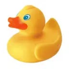 Squeaky Dog Toy (copy)