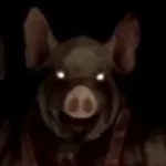 Labyrinthine pigman sfx