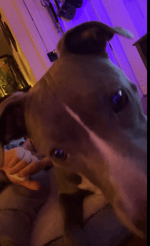 KANYE - promotion ft future