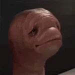 meatworm egg - Sound