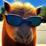 What’s up, what are you