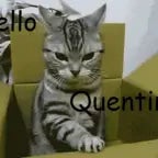 Quentin