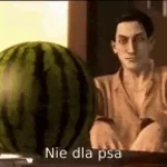Nie Dla Psa