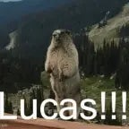dale lucas noo! SOS UN PELOTUDO!!!