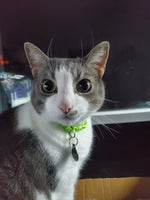 Mr BEEEEEEEEEEEEEEEAAAAAAAAAAAASSSSST