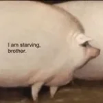 I am starving, brother!