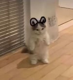 Ching Cheng Han Ji ( China Meme )( Meme Sound Effect )