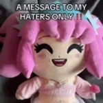 this is a message to my haters