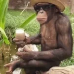 chucken jadę-autem-swym-po-jednym-piwie (1)