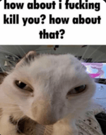 Duck has very important announcment