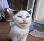 Combat Initiation Blood Mist [Slasher Theme]