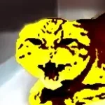 Golden Burger the Cat