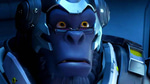 Overwatch Why is it so warm Winston Voiceline