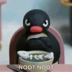 anagry noot noot