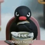 angry noot noot